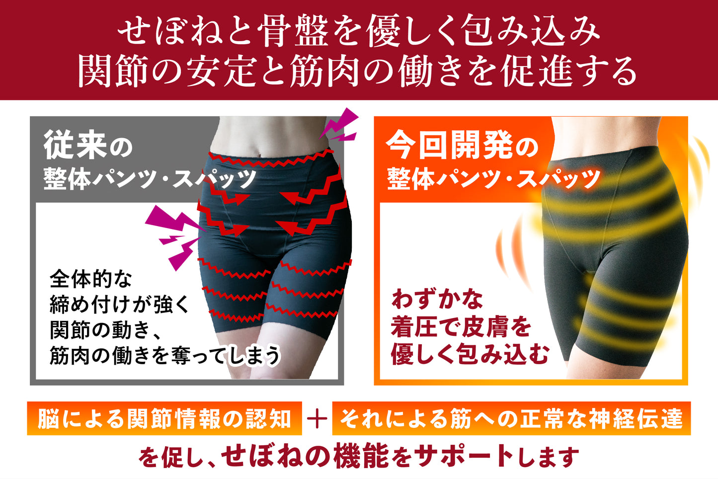 【整体パンツ・スパッツ】履くだけ せぼね整体